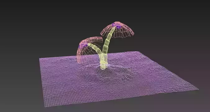 Plam Tree 3D model