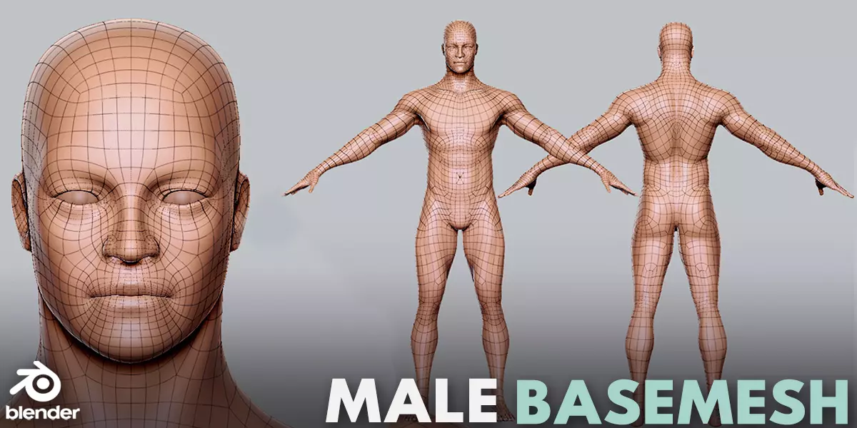 Male BaseMesh Topology Uv Map Free low-poly 3D model_0