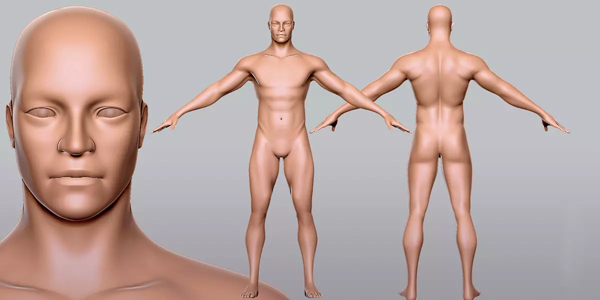 Male BaseMesh Topology Uv Map Free low-poly 3D model_2