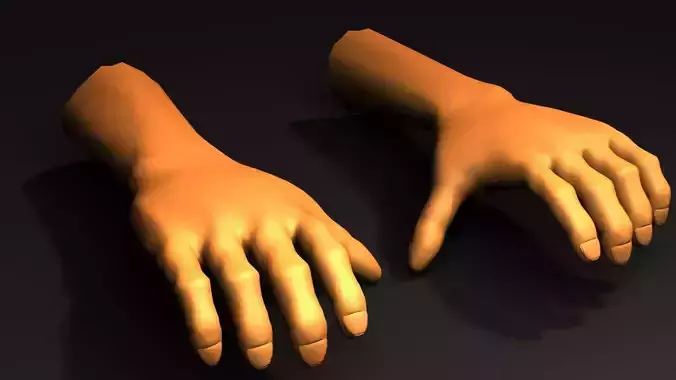 3D model Human Hand VR / AR / low-poly | CGTrader