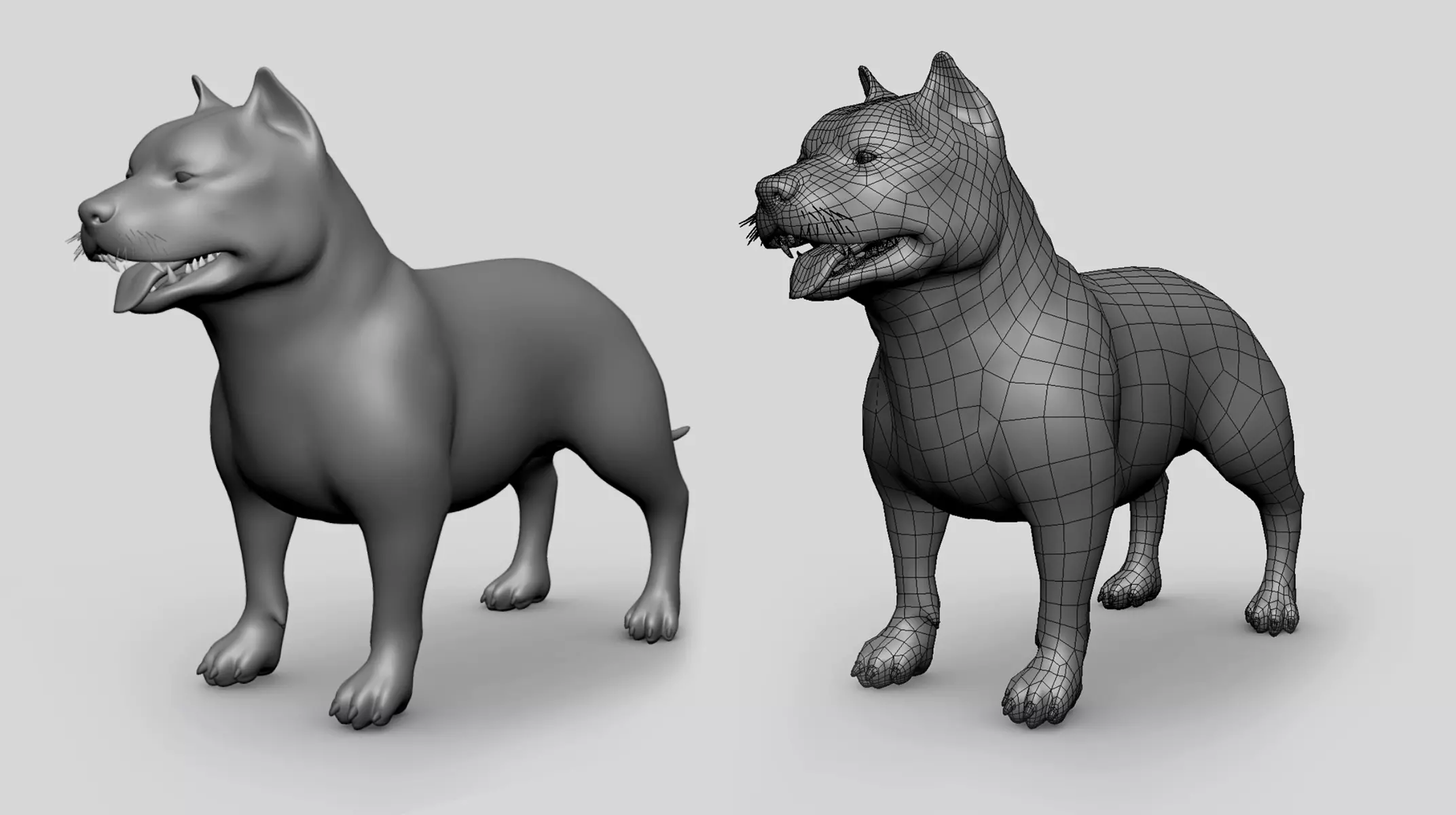 Pitbull Basemesh Topology Uv Map Free 3D model_1