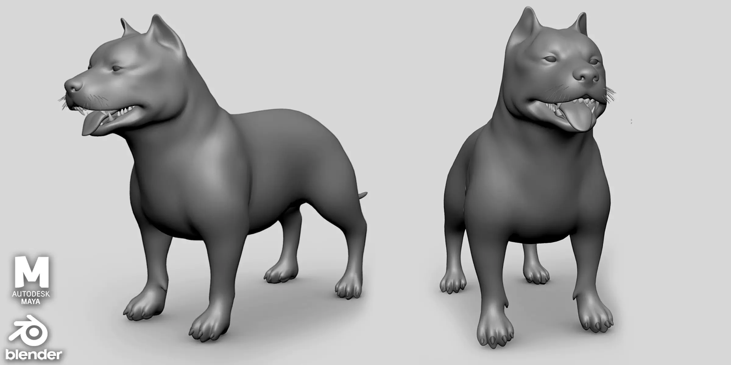 Pitbull Basemesh Topology Uv Map Free 3D model_0