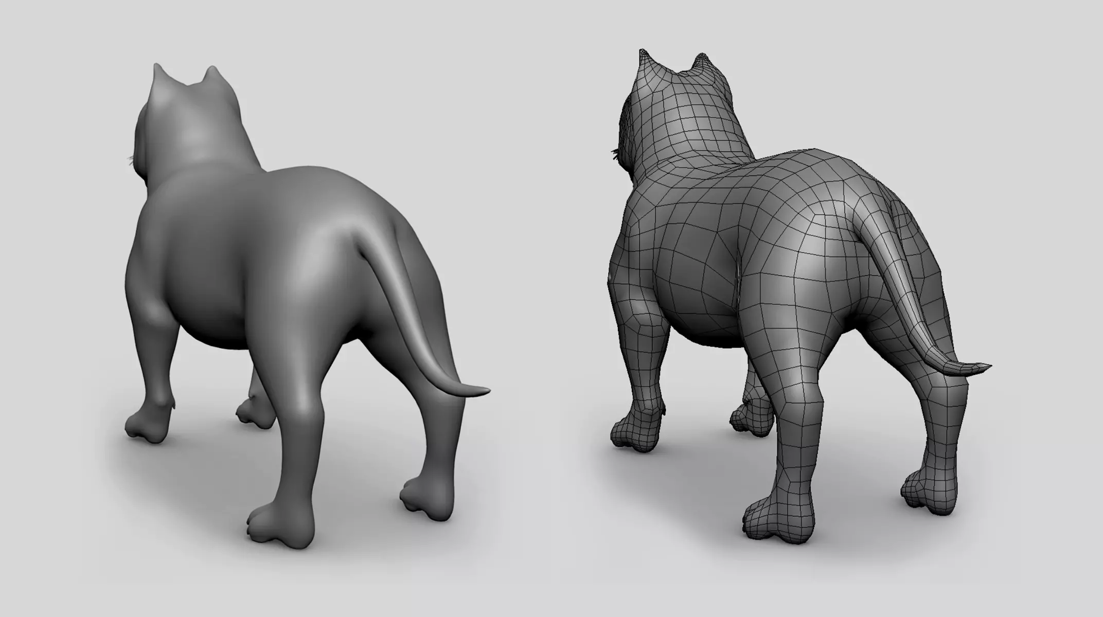 Pitbull Basemesh Topology Uv Map Free 3D model_3