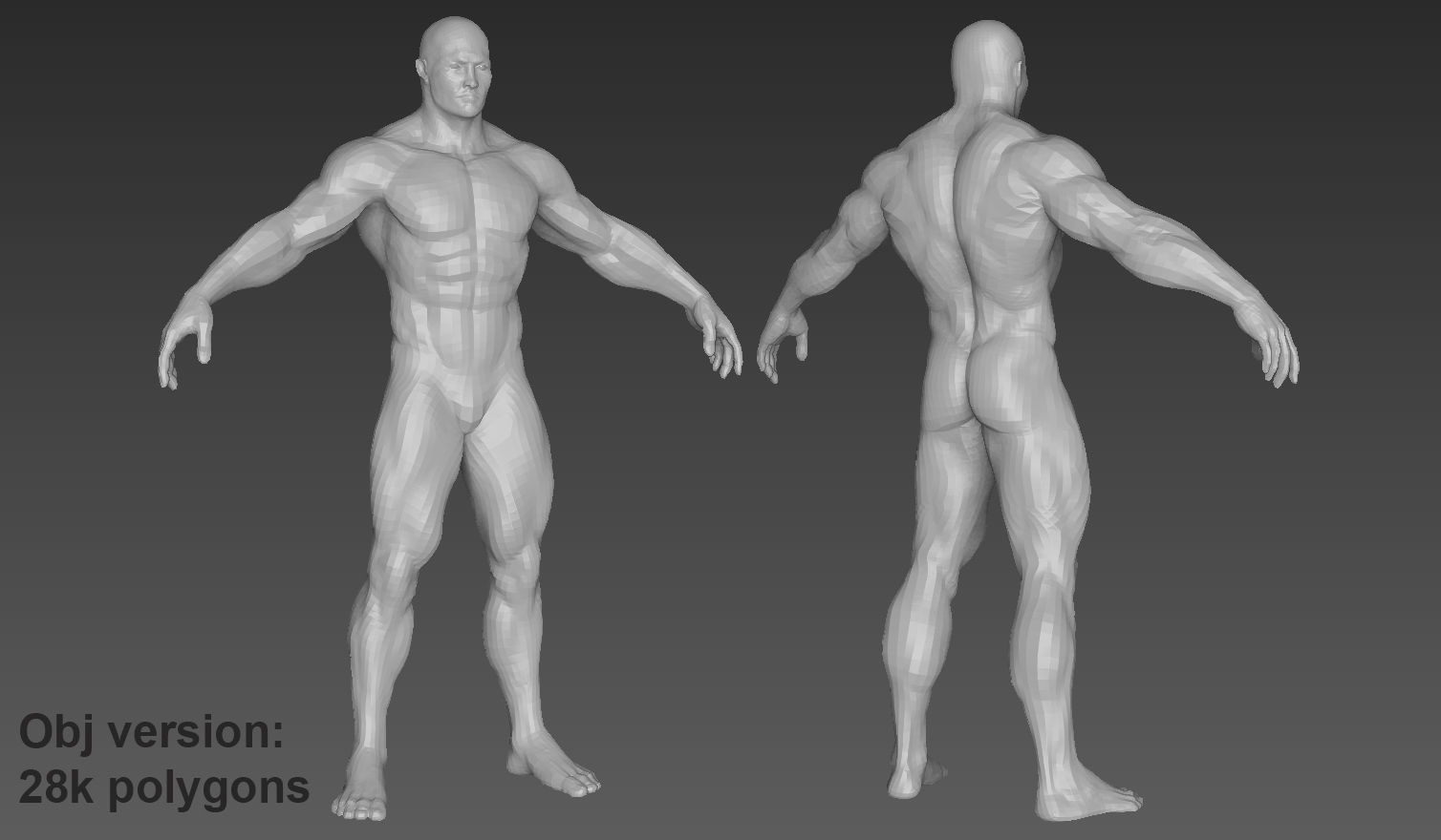 Muscular Male Character Low-poly 3D model_12
