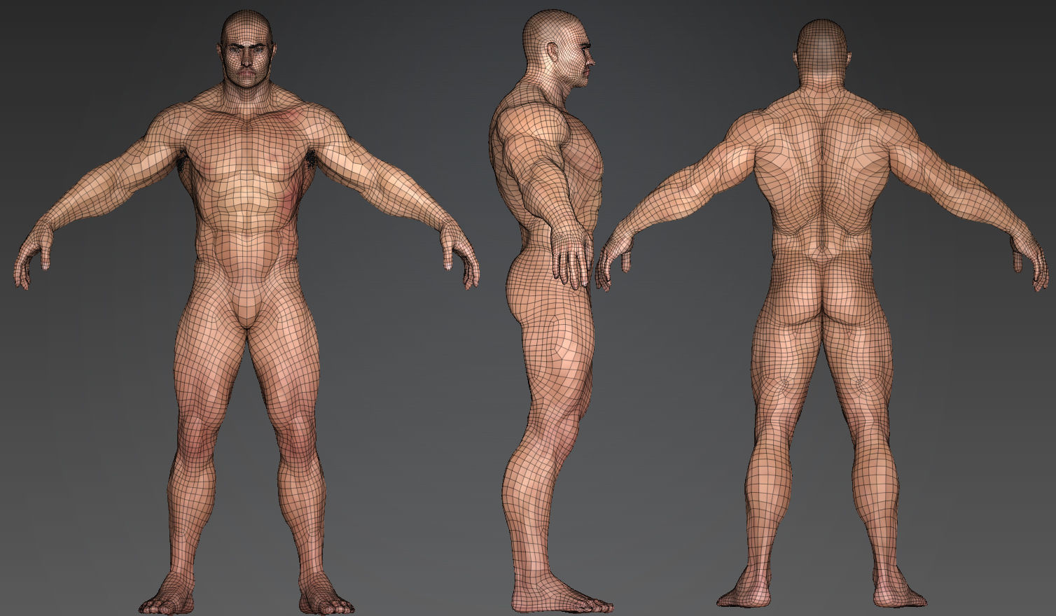 Muscular Male Character Low-poly 3D model_10