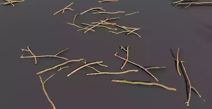Twig Branches