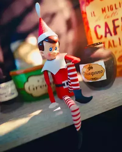 Elf on the shelf