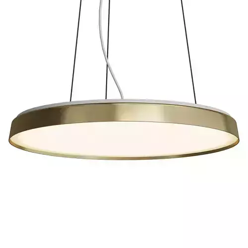COMPENDIUM PLATE Pendant Light