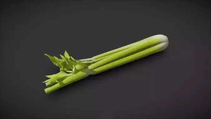 Celery 3D model