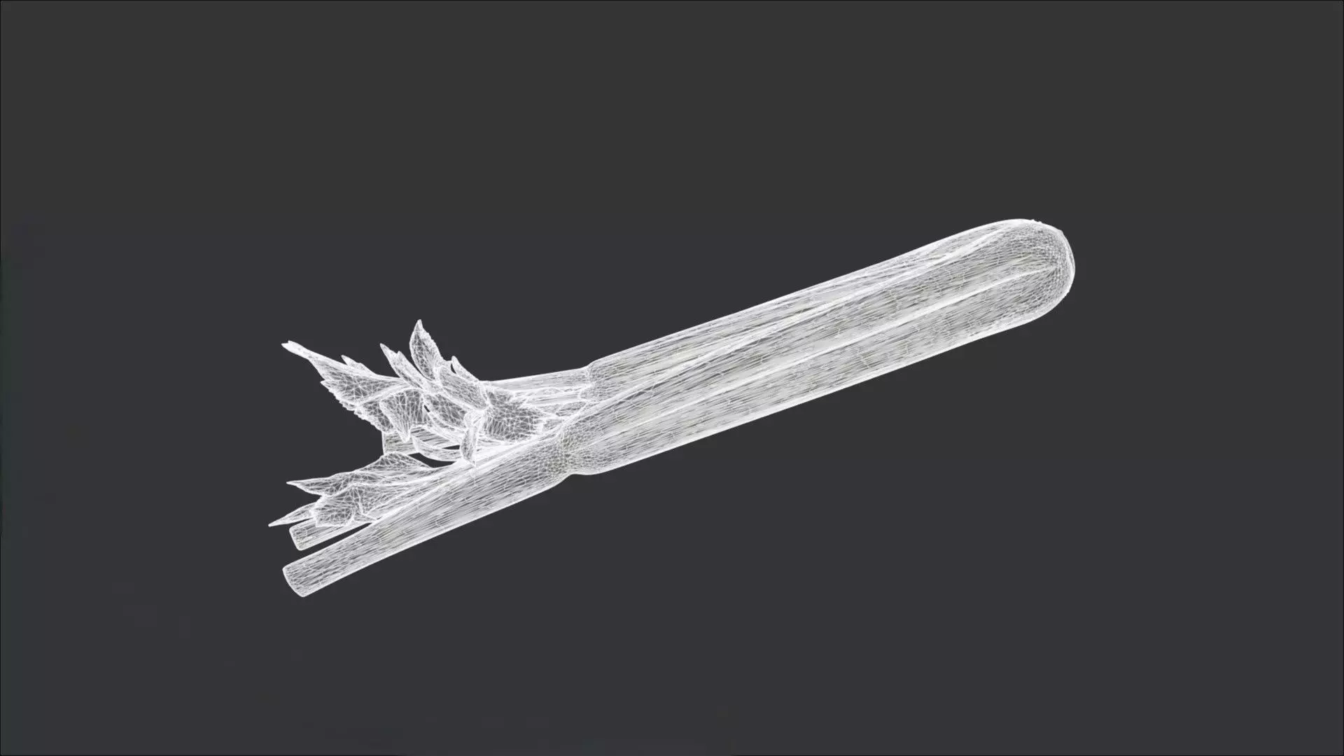 Celery 3D model_2