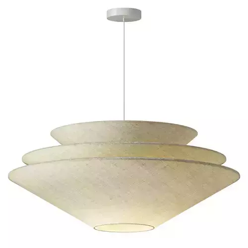 Gull Pendant Lamp  West Elm