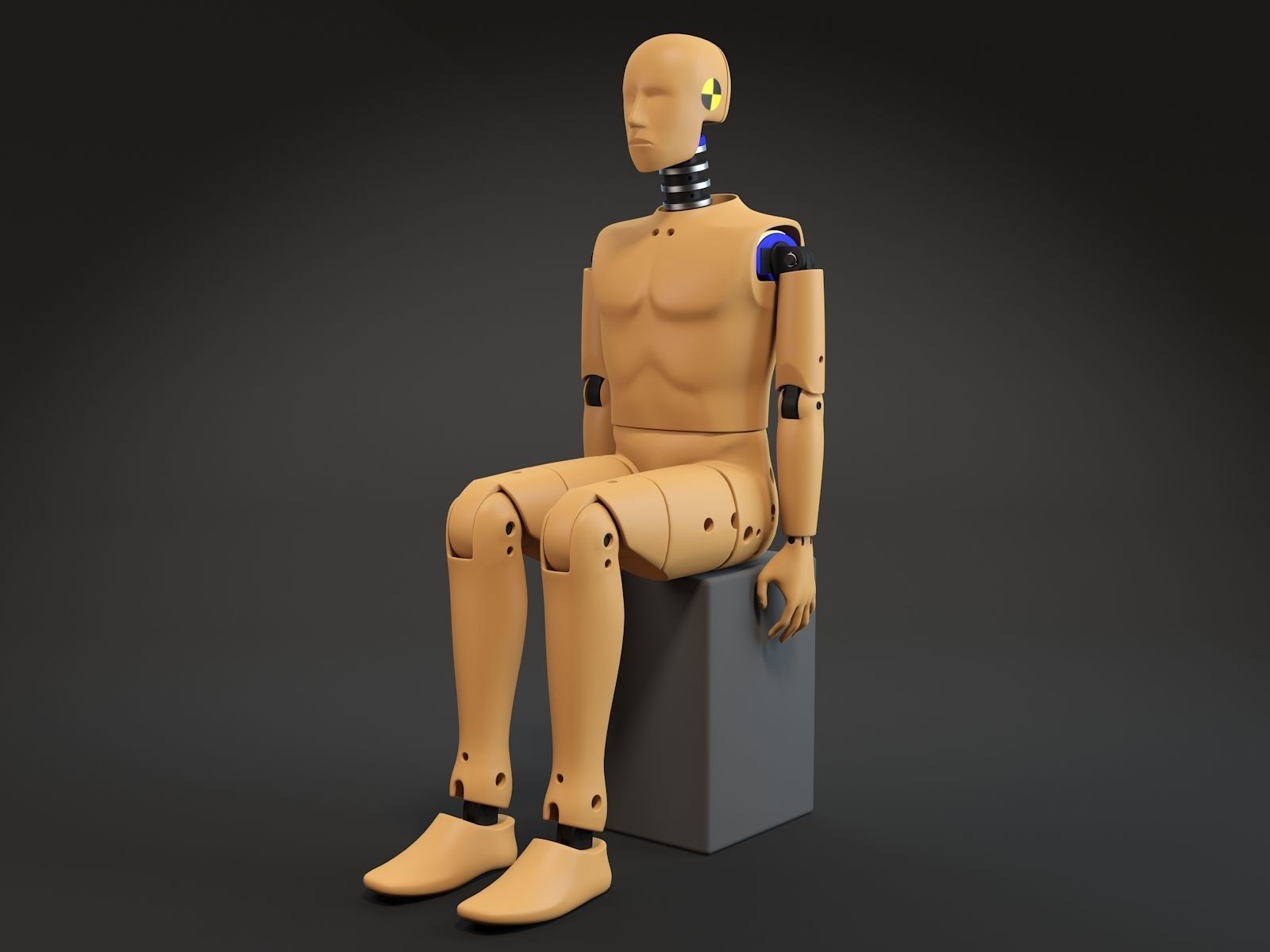 Crash test dummy 3D model_2