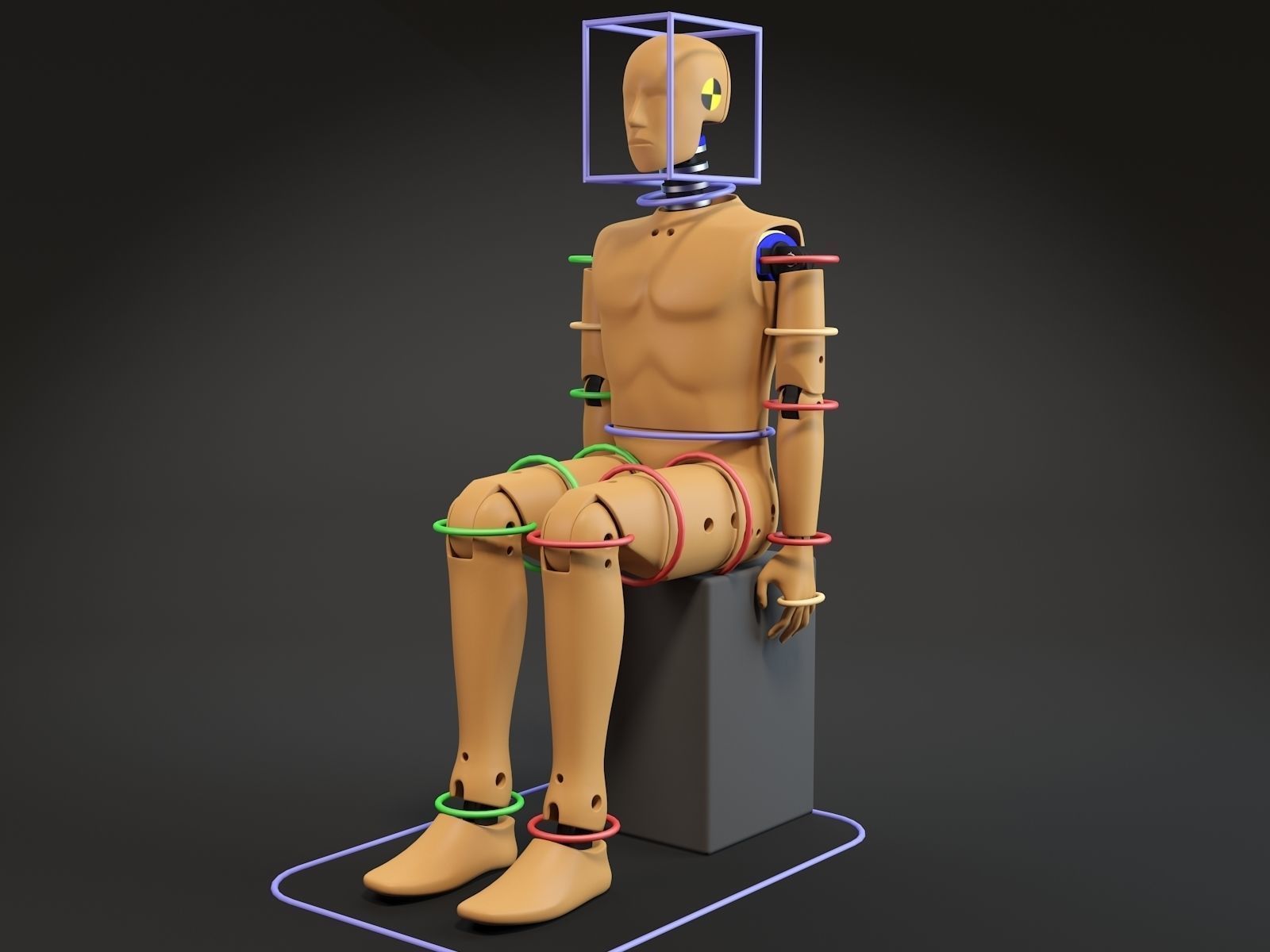 Crash test dummy 3D model_12