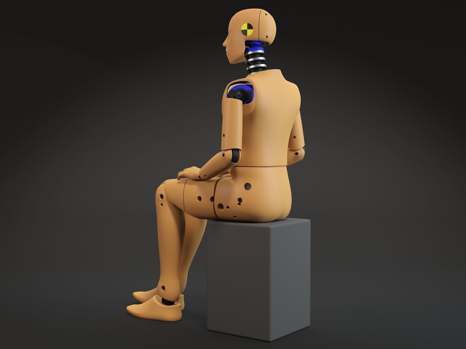 Crash test dummy 3D model_9