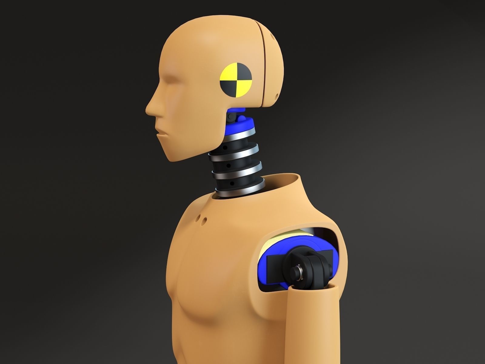 Crash test dummy 3D model_5