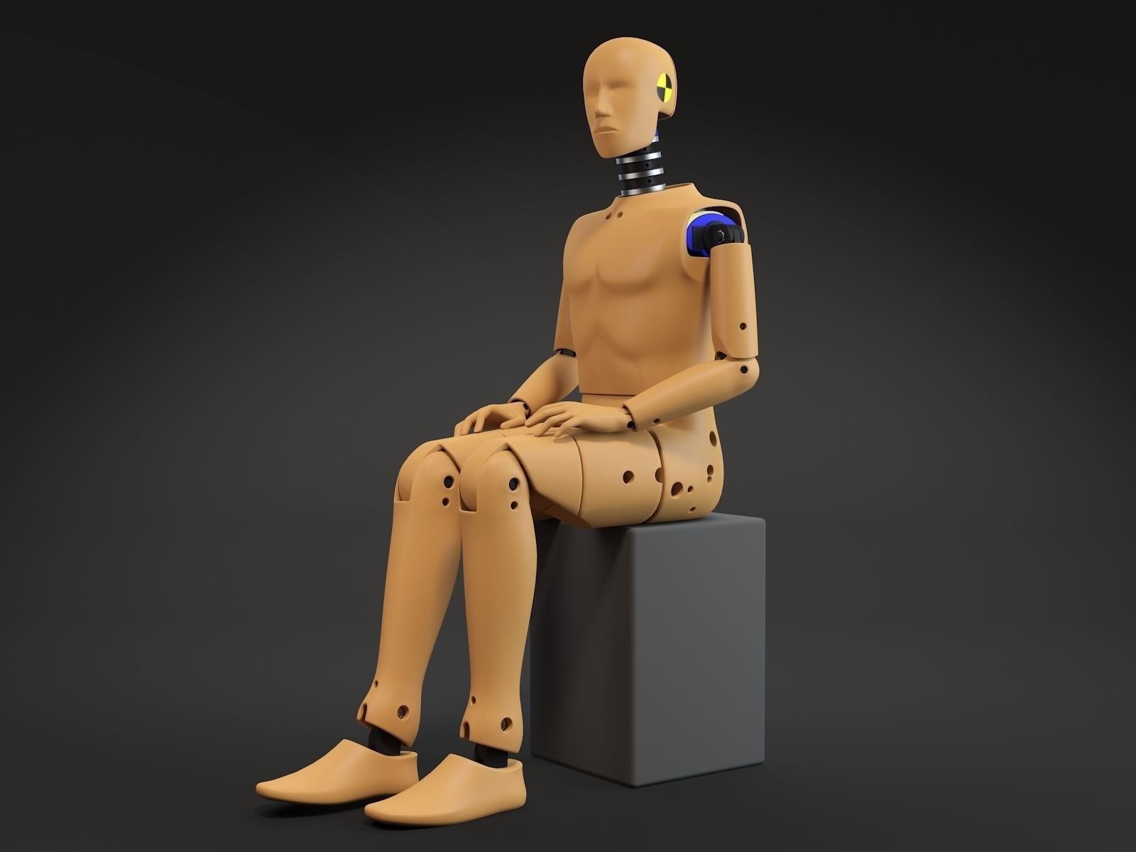 Crash test dummy 3D model_6