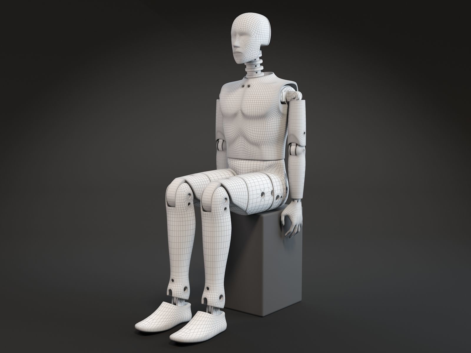 Crash test dummy 3D model_7