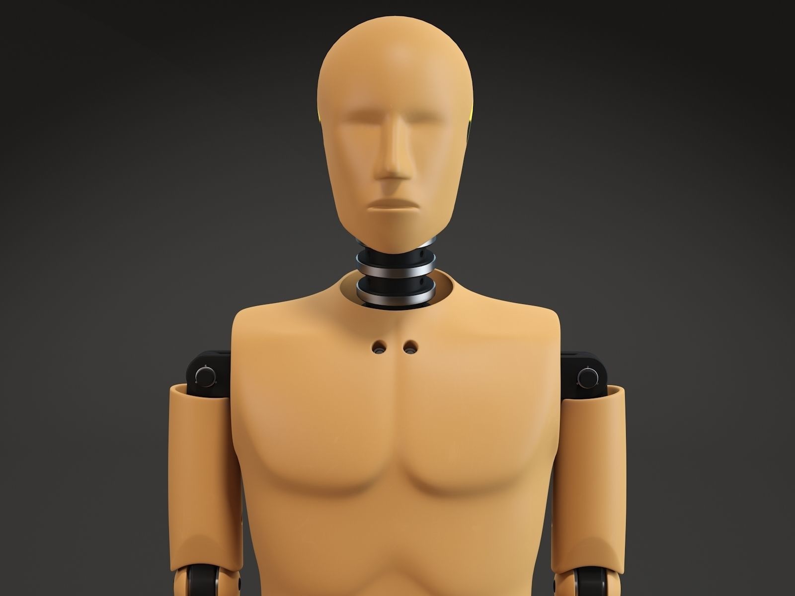 Crash test dummy 3D model_3