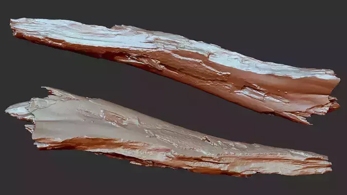 Peeling Tree trunk Wood ZBrush engraving highpoly