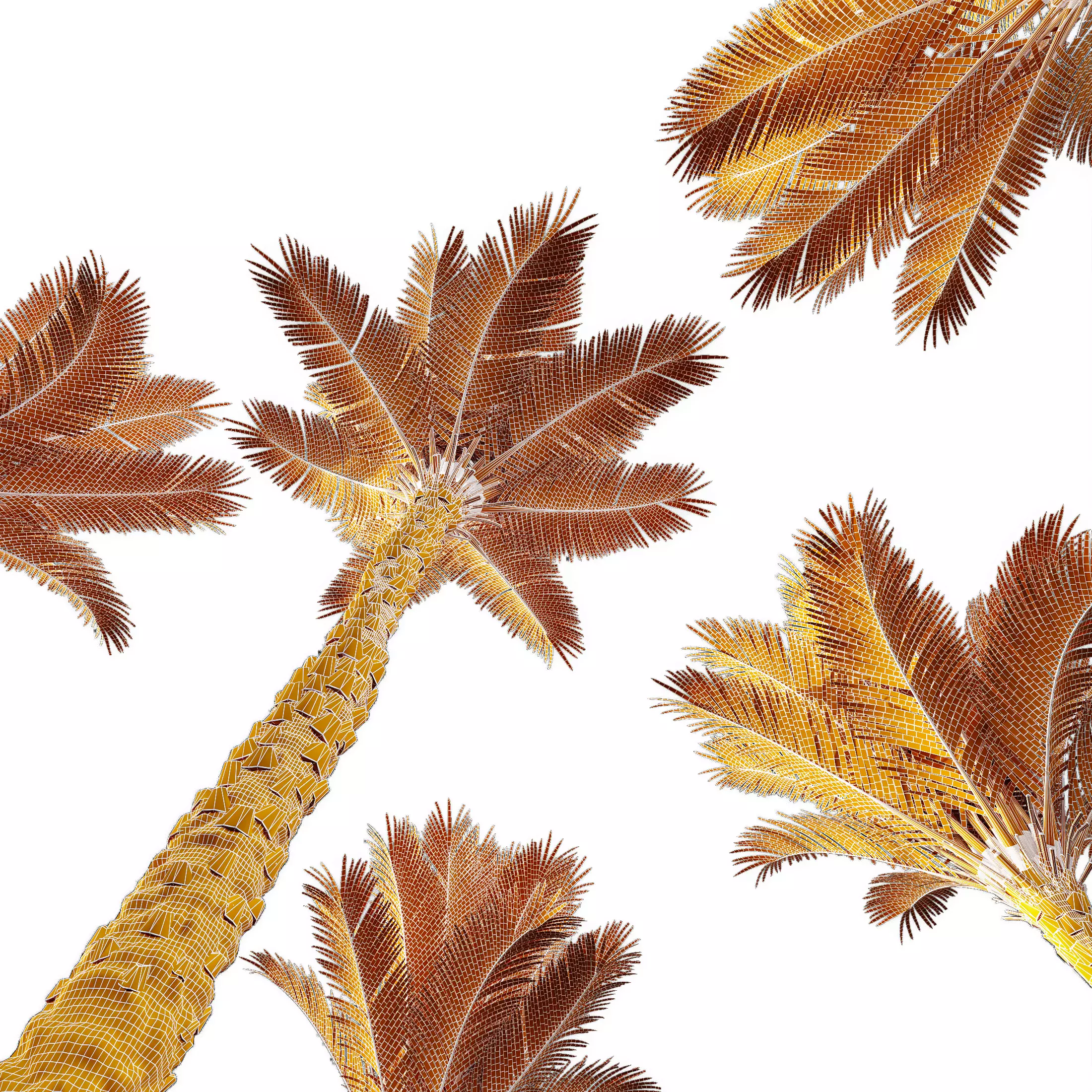 AV Acer Pseudoplatanus and Phoenix Dactylifera Palm 4 Trees 3D model_11