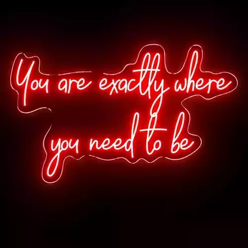 You are exactly where you need to be Neon Sign