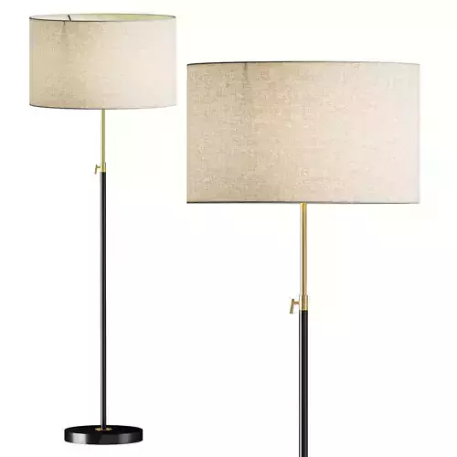 Telescoping Adjustable Floor Lamp