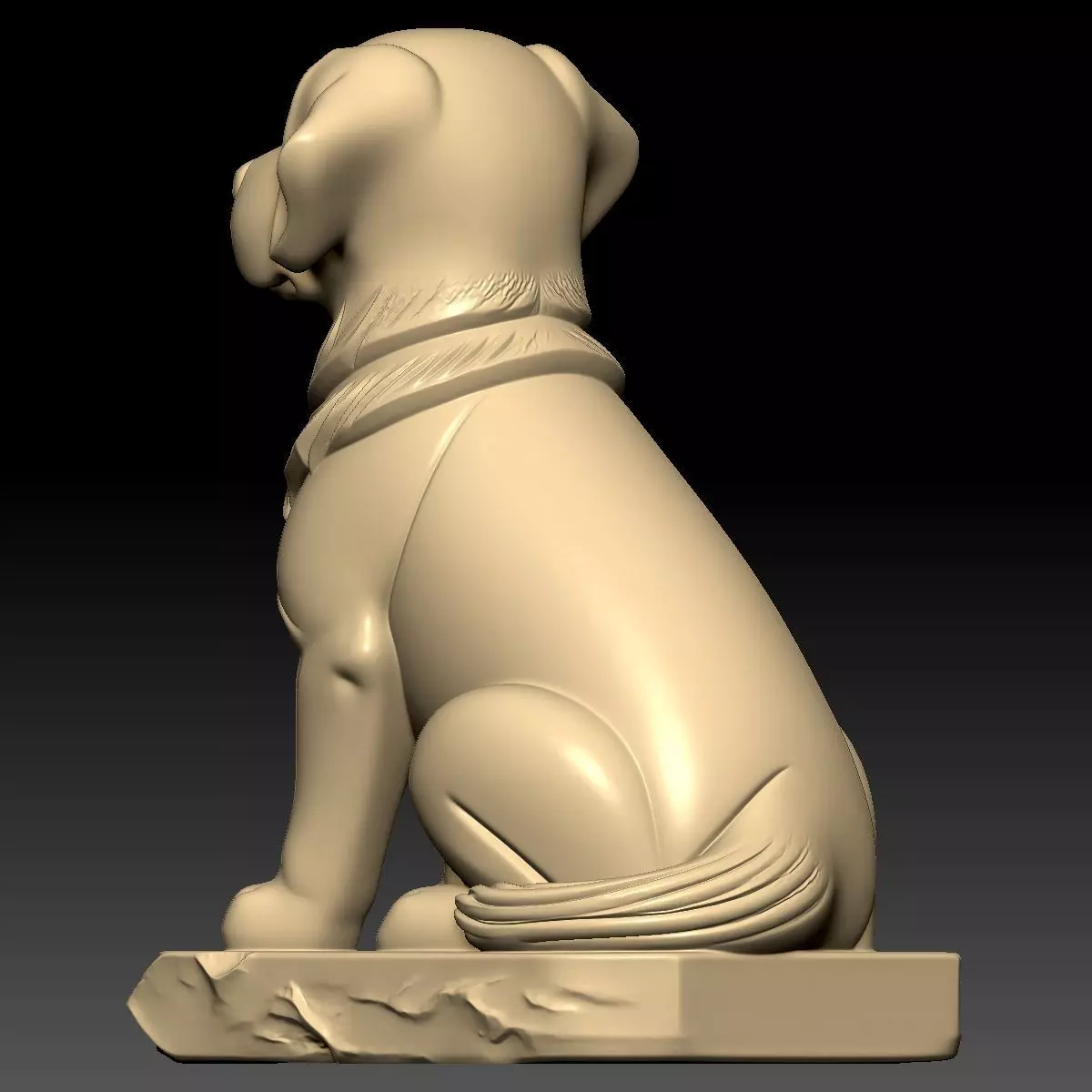 The Dog 3D model_8
