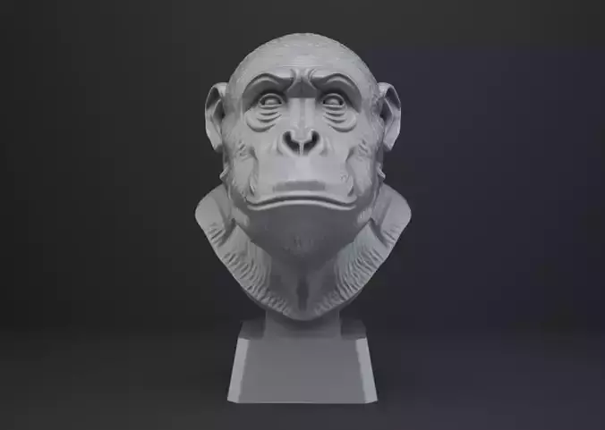 Ape Bust - Animal Figurine