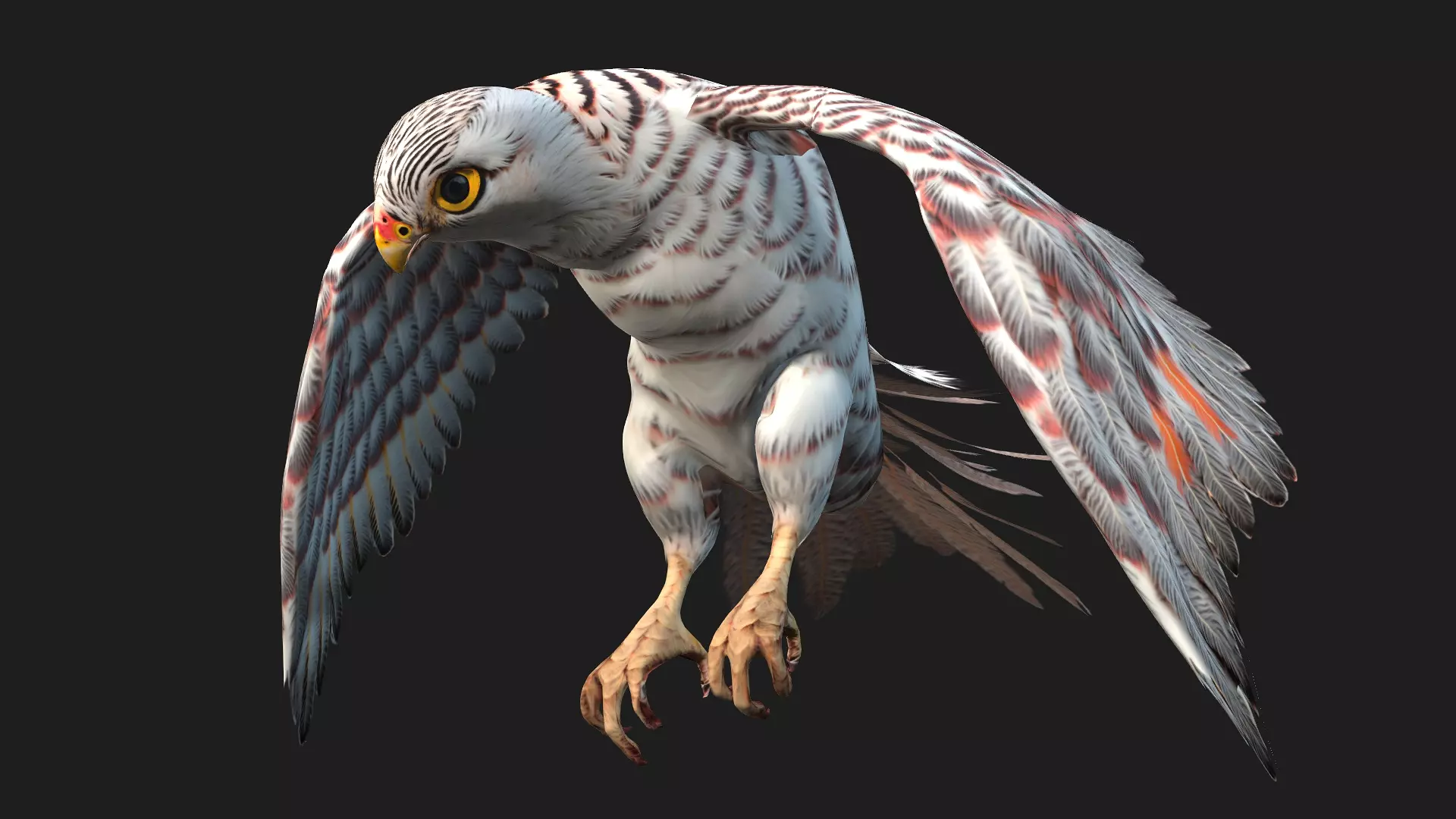 Kestrel B5 Free 3D model_3