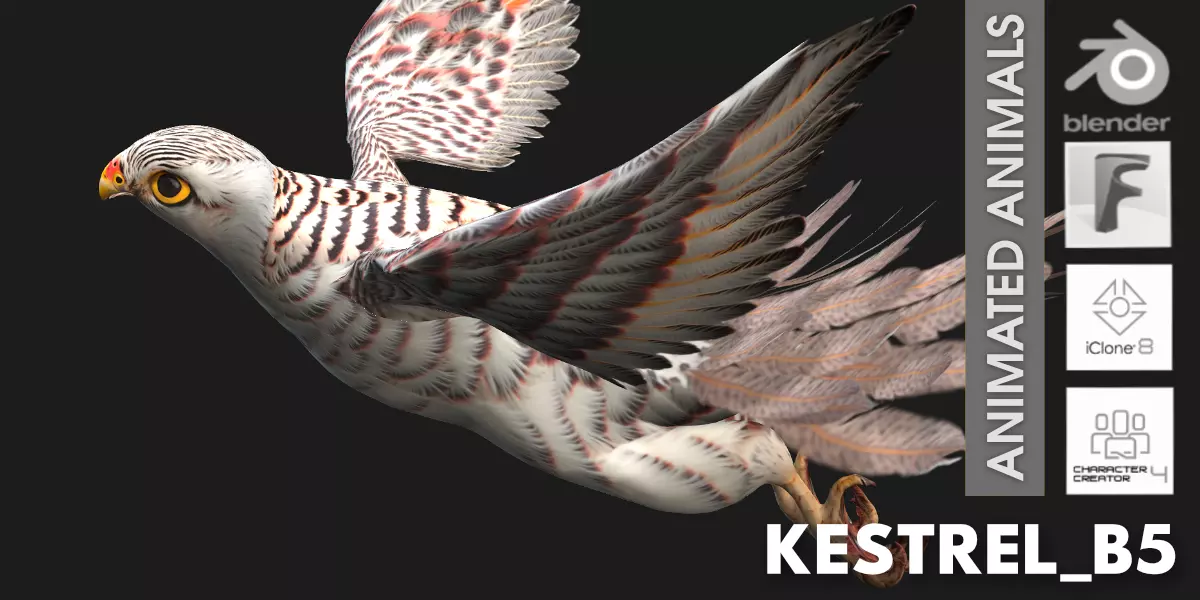 Kestrel B5 Free 3D model_0