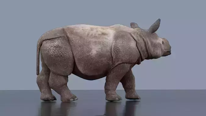 Rhino