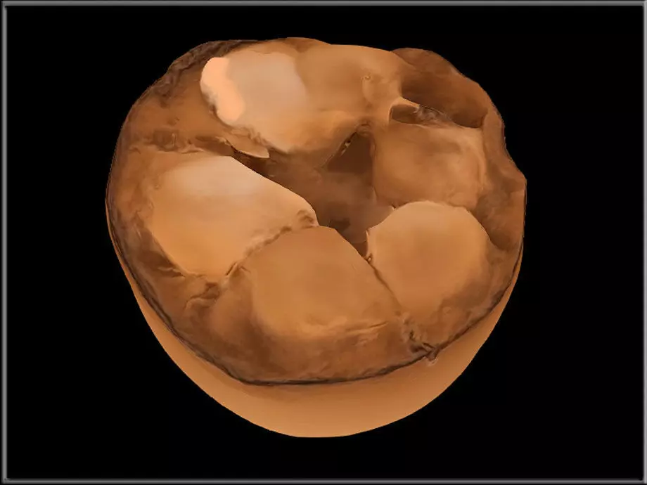 Monk Fruit Low-poly 3D model_1