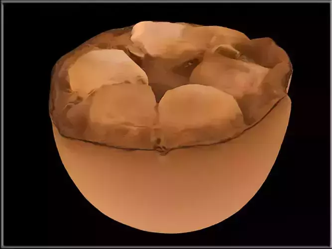 Monk Fruit Low-poly 3D model