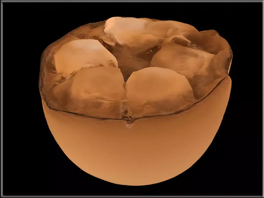 Monk Fruit Low-poly 3D model_0