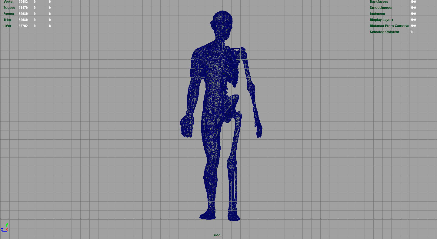 HUMAN BODY ANATOMY MODEL Low-poly 3D model_14