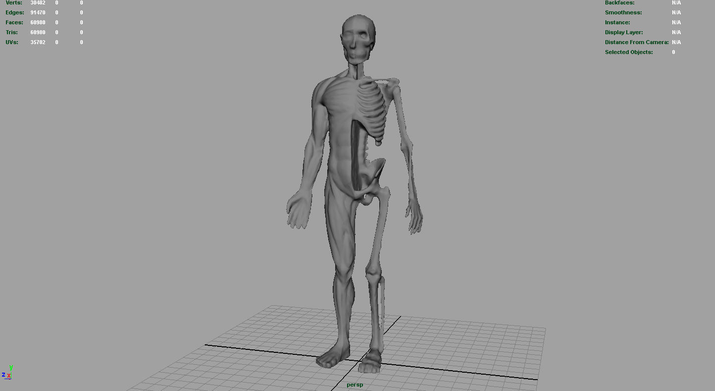 HUMAN BODY ANATOMY MODEL Low-poly 3D model_6