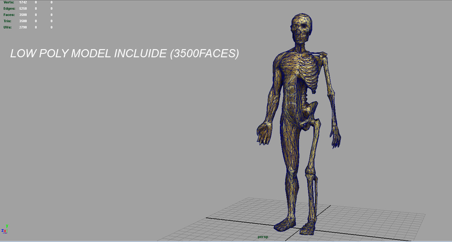 HUMAN BODY ANATOMY MODEL Low-poly 3D model_15