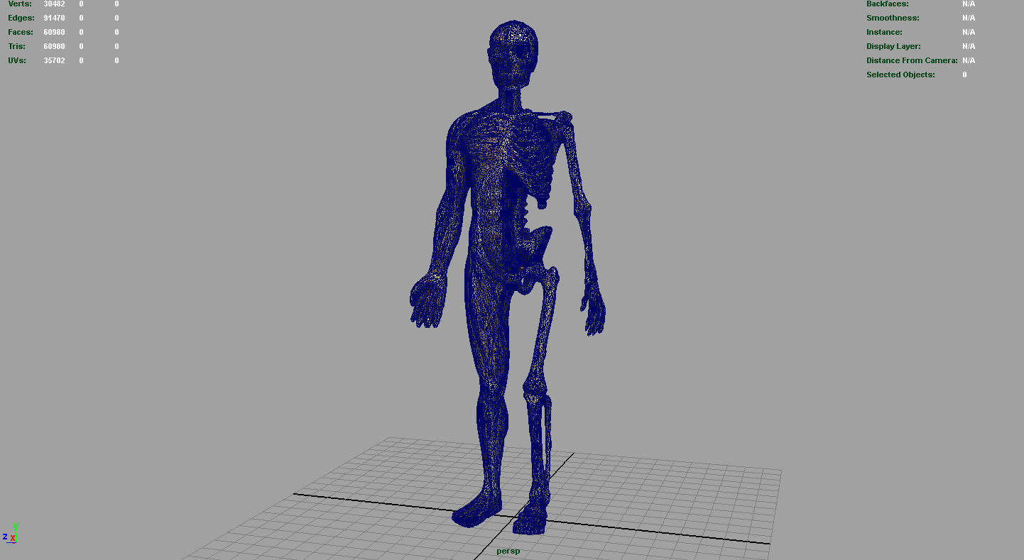HUMAN BODY ANATOMY MODEL Low-poly 3D model_7