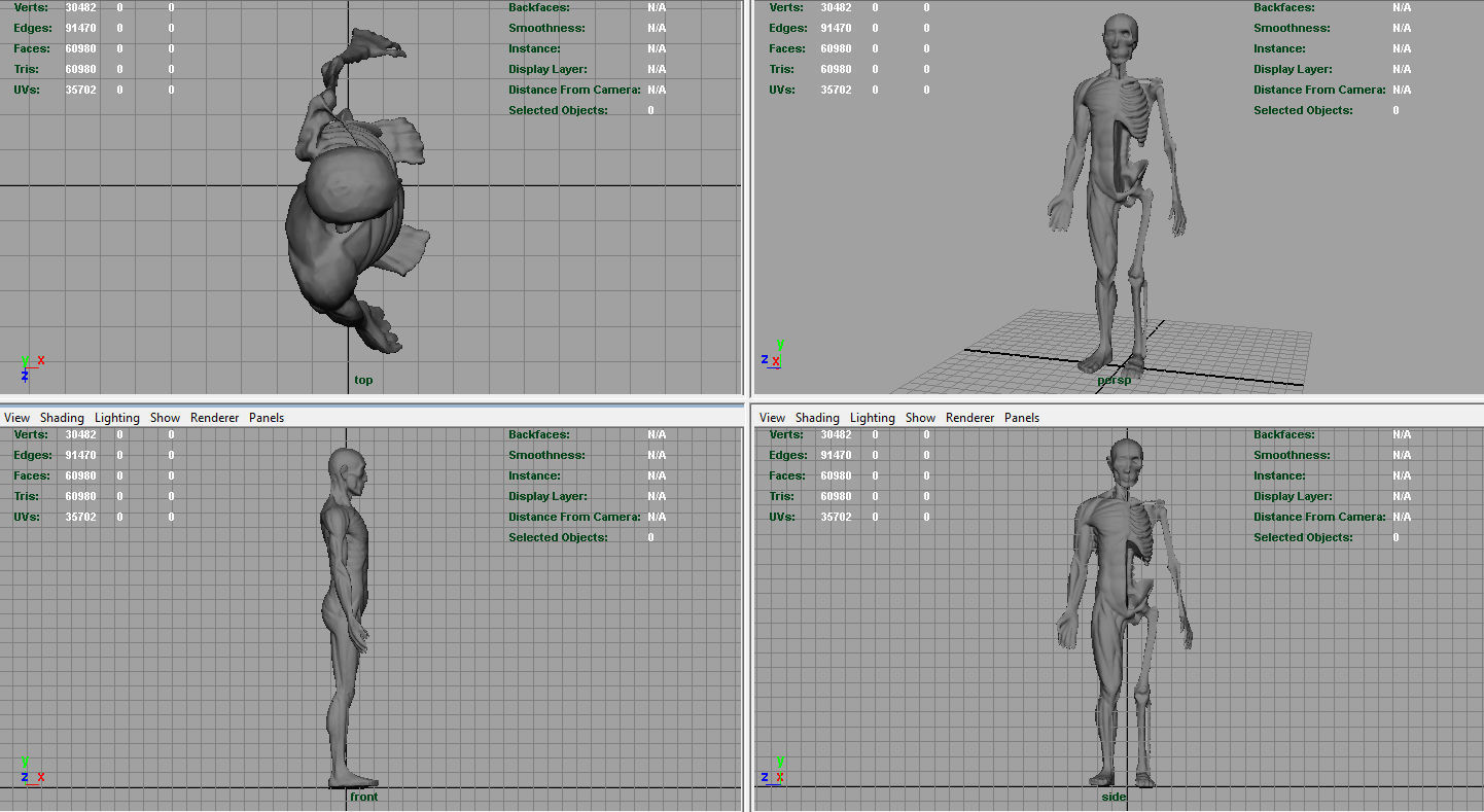 HUMAN BODY ANATOMY MODEL Low-poly 3D model_9