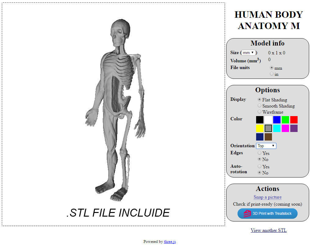HUMAN BODY ANATOMY MODEL Low-poly 3D model_18