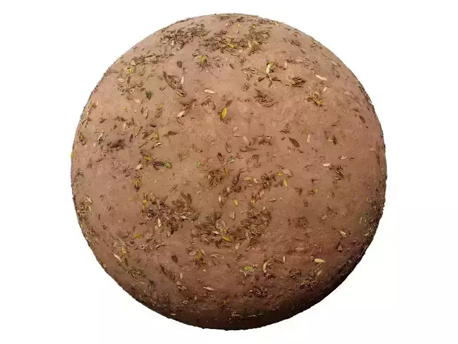 Leaves Forest Ground