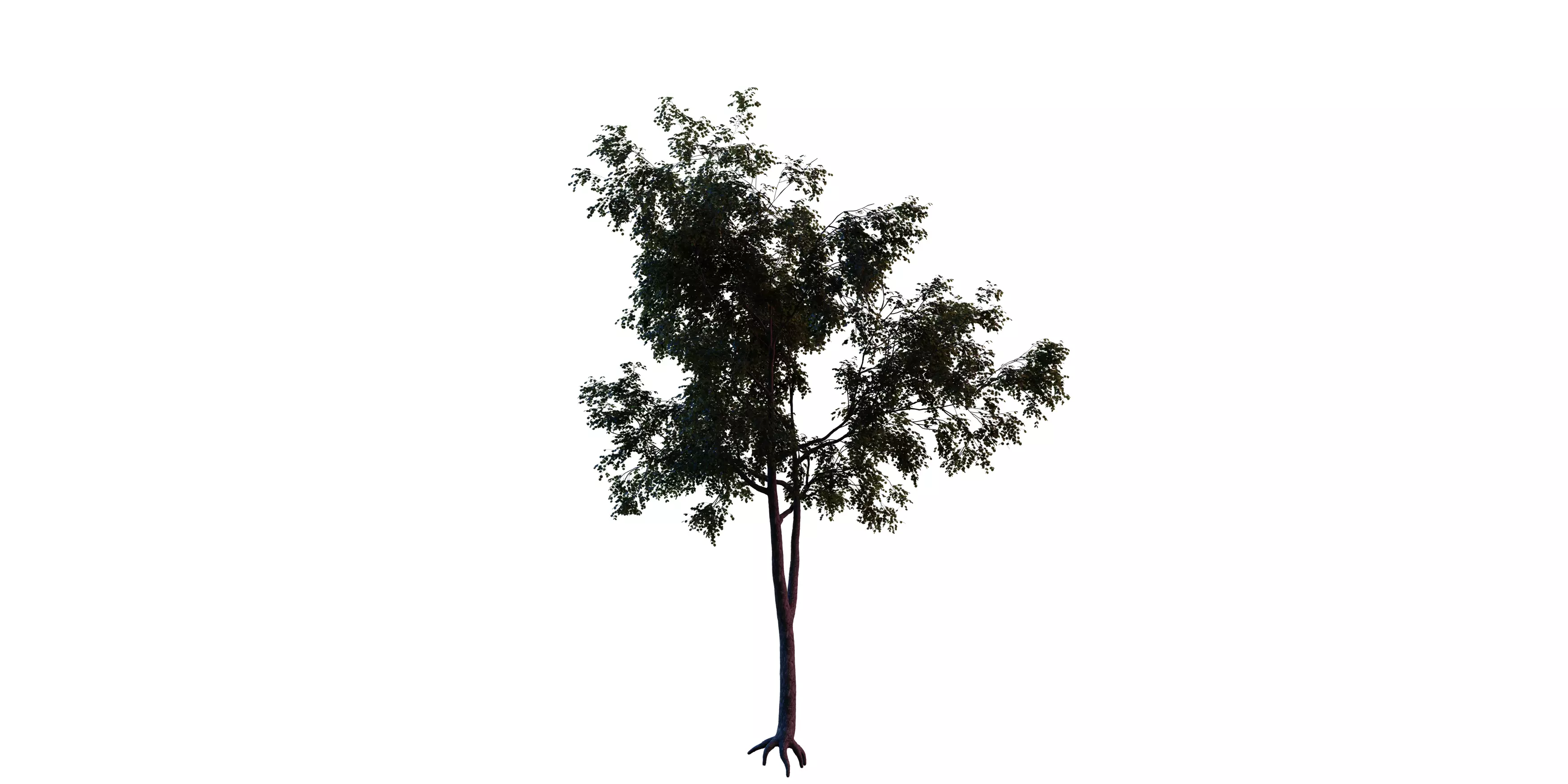 Generic Tree 17 Free low-poly 3D model_1