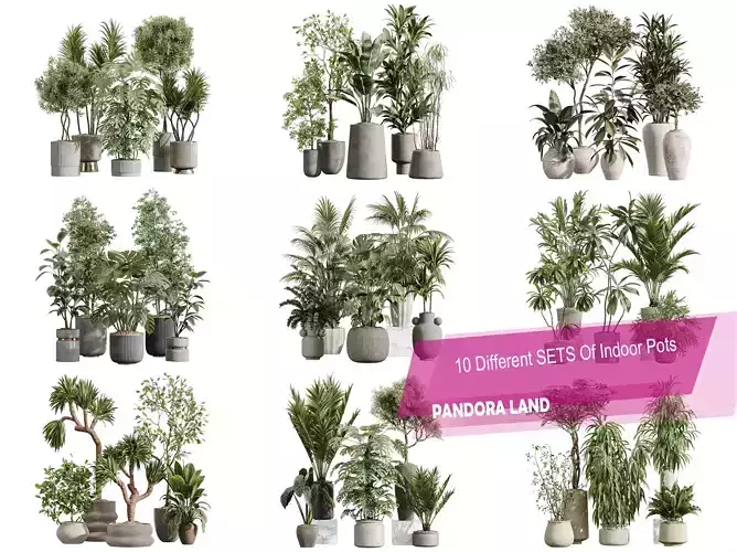 AV 10 unique sets of indoor pots including 50 different plants55