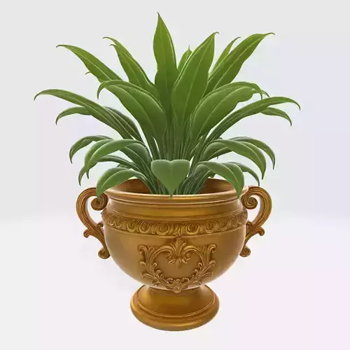 Plant Pot 1