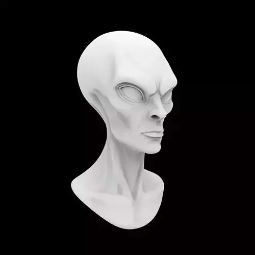 Extraterrestrial Bust 3D Print Model