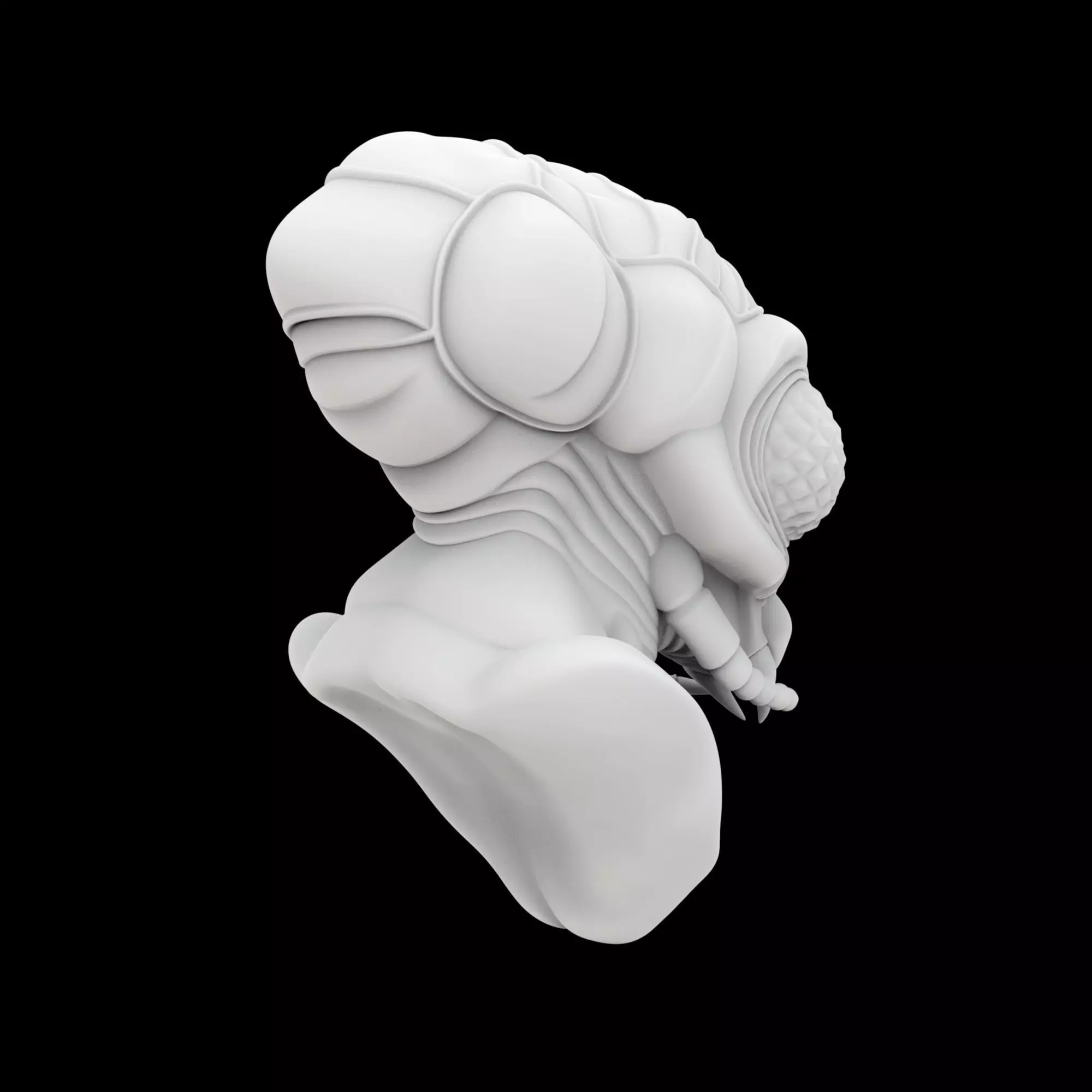 Insectoid Alien Bust 3D Print Model 3D print model_3