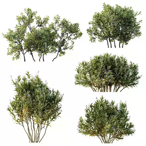 AV 17 sets of unique and high-quality bushes 3D Model Pack 6
