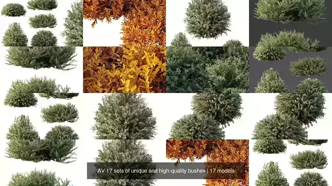 AV 17 sets of unique and high-quality bushes 3D Model Pack 4