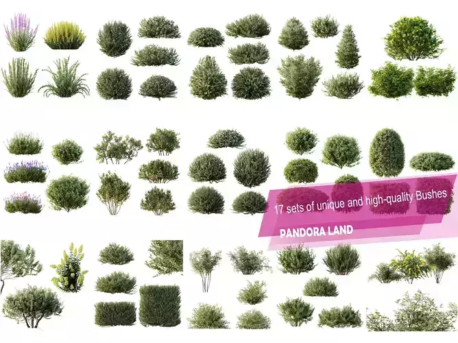 AV 17 sets of unique and high-quality bushes