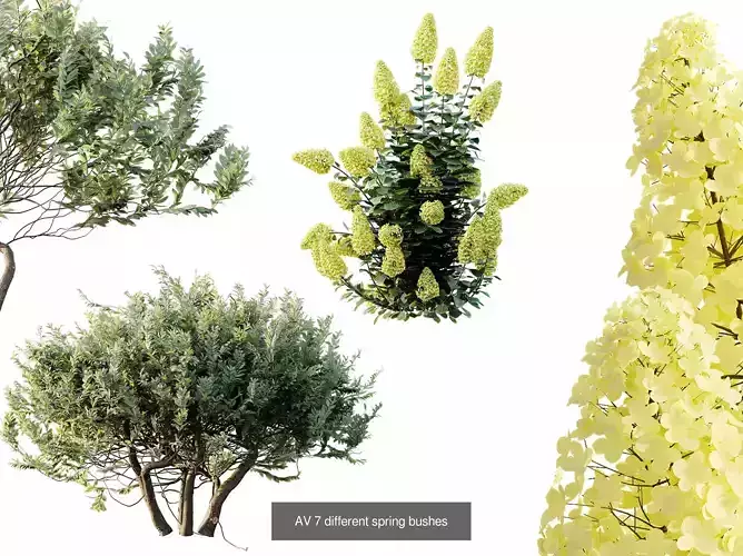 AV 17 sets of unique and high-quality bushes 3D Model Pack 7
